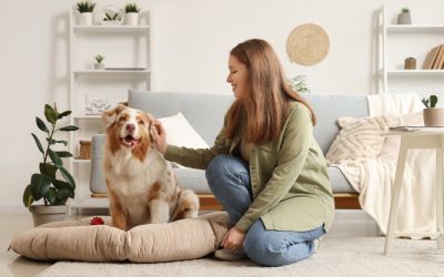 What Are The Best Epoxy Flooring Options For Pet Owners?