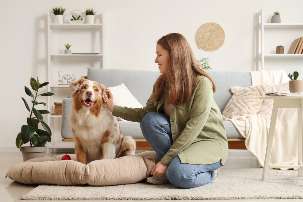 What Are The Best Veterinarian Flooring Options?